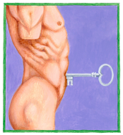 Test Diagnostic Keys®
