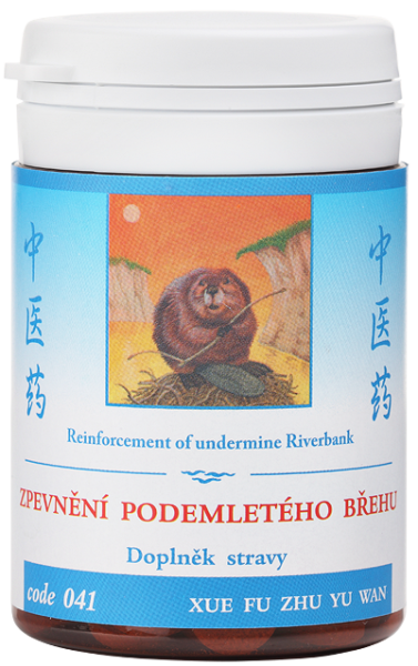 Reinforcement of undermine Riverbank®